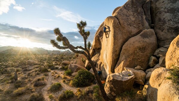 1 غرفة نوم ومكواة/لوح كي وواي فاي مجانًا وملاءات أسرّة