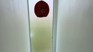 Un escalier doté d’une vitre et d’une rampe métallique, menant à une pièce avec une fenêtre.