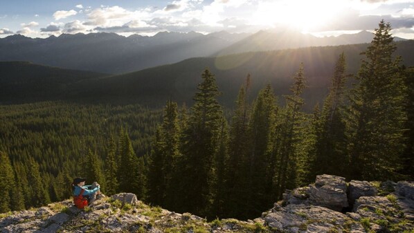 المنطقة المحيطة بالمنشأة