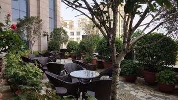 An outdoor seating area with wicker furniture and potted plants.