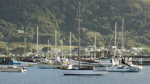 A marina with multiple sailboats docked, surrounded by a hilly landscape with houses in the background. - Apollo Bay Motel & Apartments (Apollo Bay)