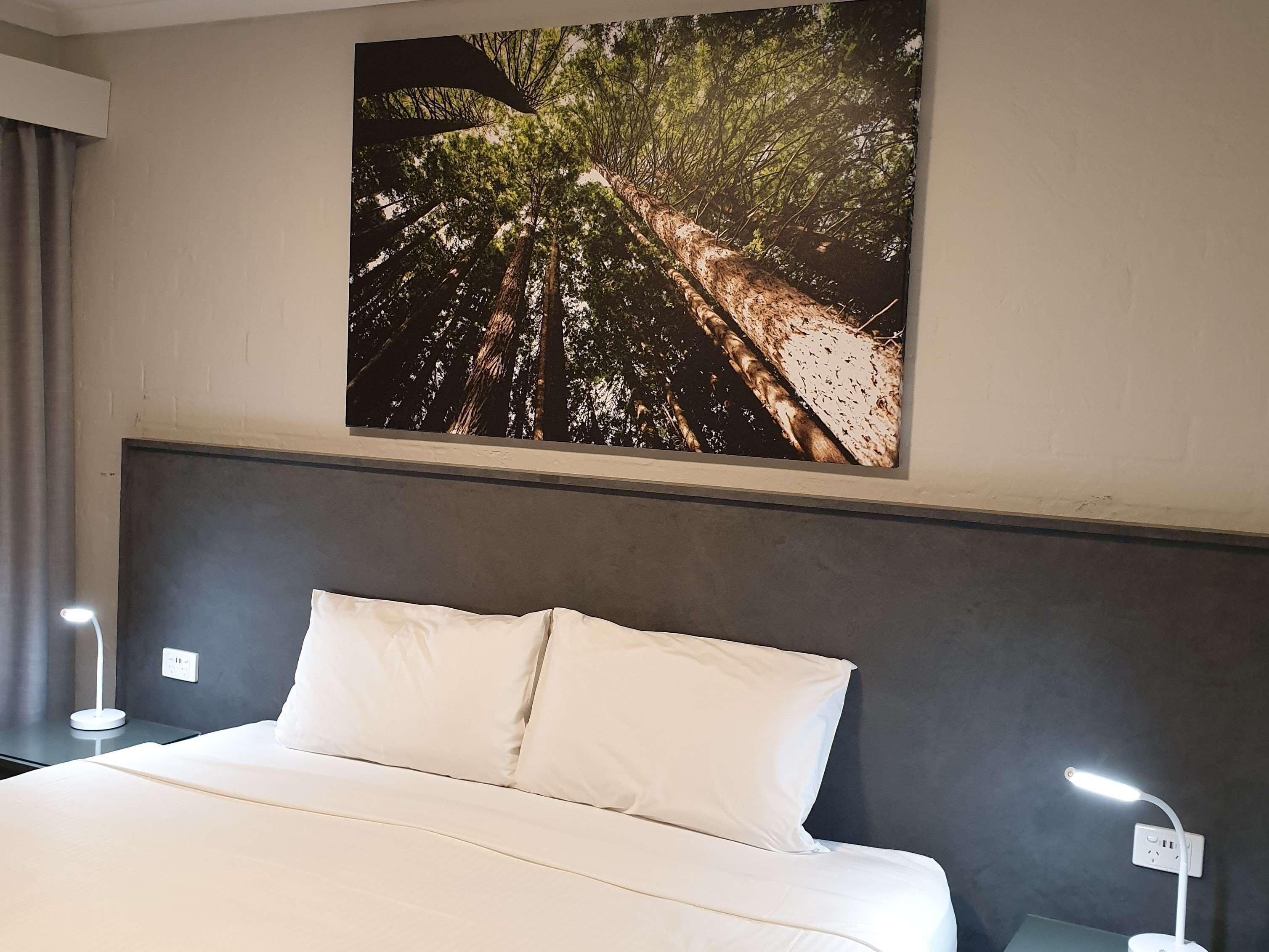A hotel room with a bed, a nightstand, a wall-mounted lamp, and a large nature-themed picture above the bed.
