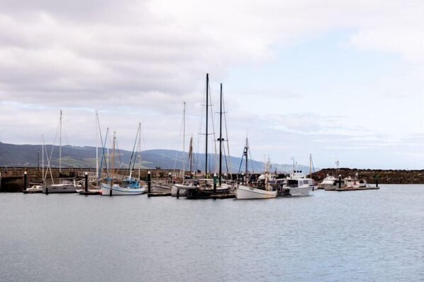 A marina with several sailboats docked at the pier. - Apollo Bay Motel & Apartments (Apollo Bay)