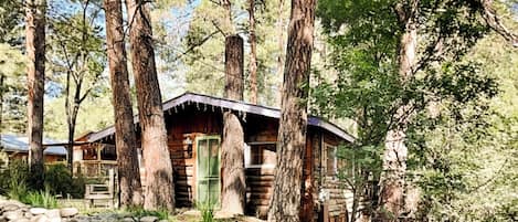 Studio (2 Bedrooms) | Property amenity