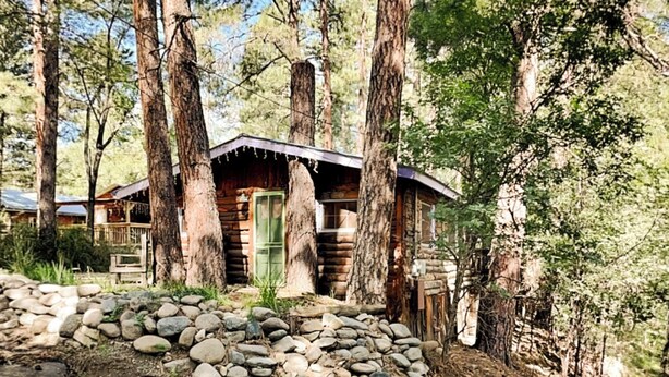Un chalet rustique entouré de grands arbres, avec un mur de pierre à l’avant.