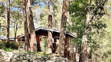 Studio (2 Bedrooms) | Property amenity