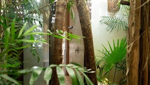 A narrow hallway with a wooden door, surrounded by lush green plants and bamboo. - Apartment with Private Pool and Garden | •TEVA 1A (Tulum)