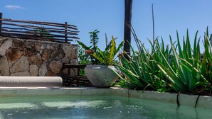 Une piscine aux eaux claires, bordée d’un muret en pierre et d’une clôture en bois, et entourée de plantes en pot et de verdure.