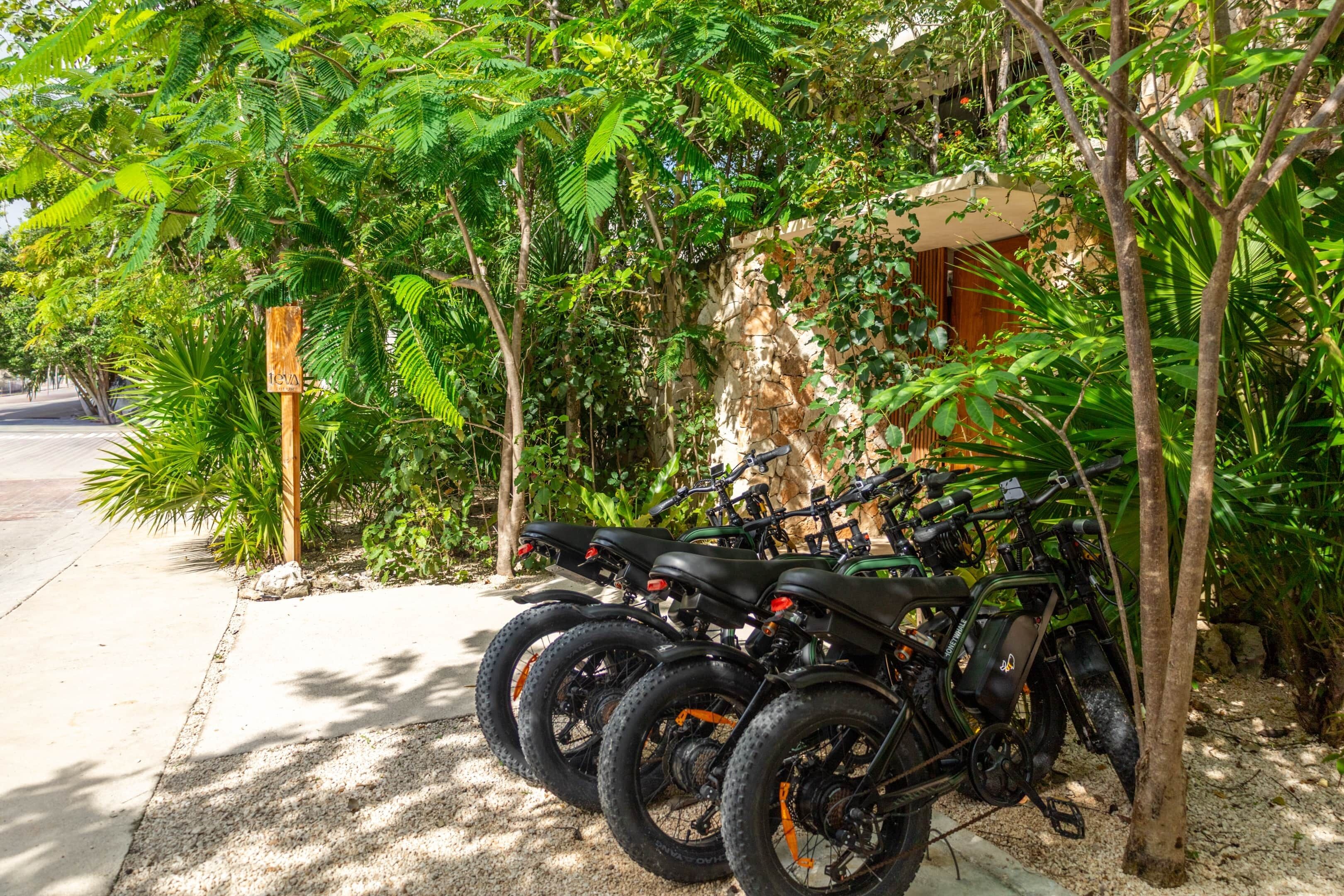 A row of mountain bikes parked under a tree in a shaded area with a stone wall and lush greenery.