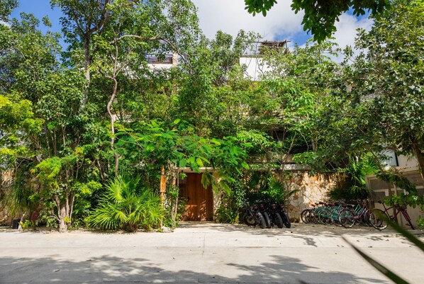 A courtyard with a stone wall, a wooden door, and a row of bicycles.