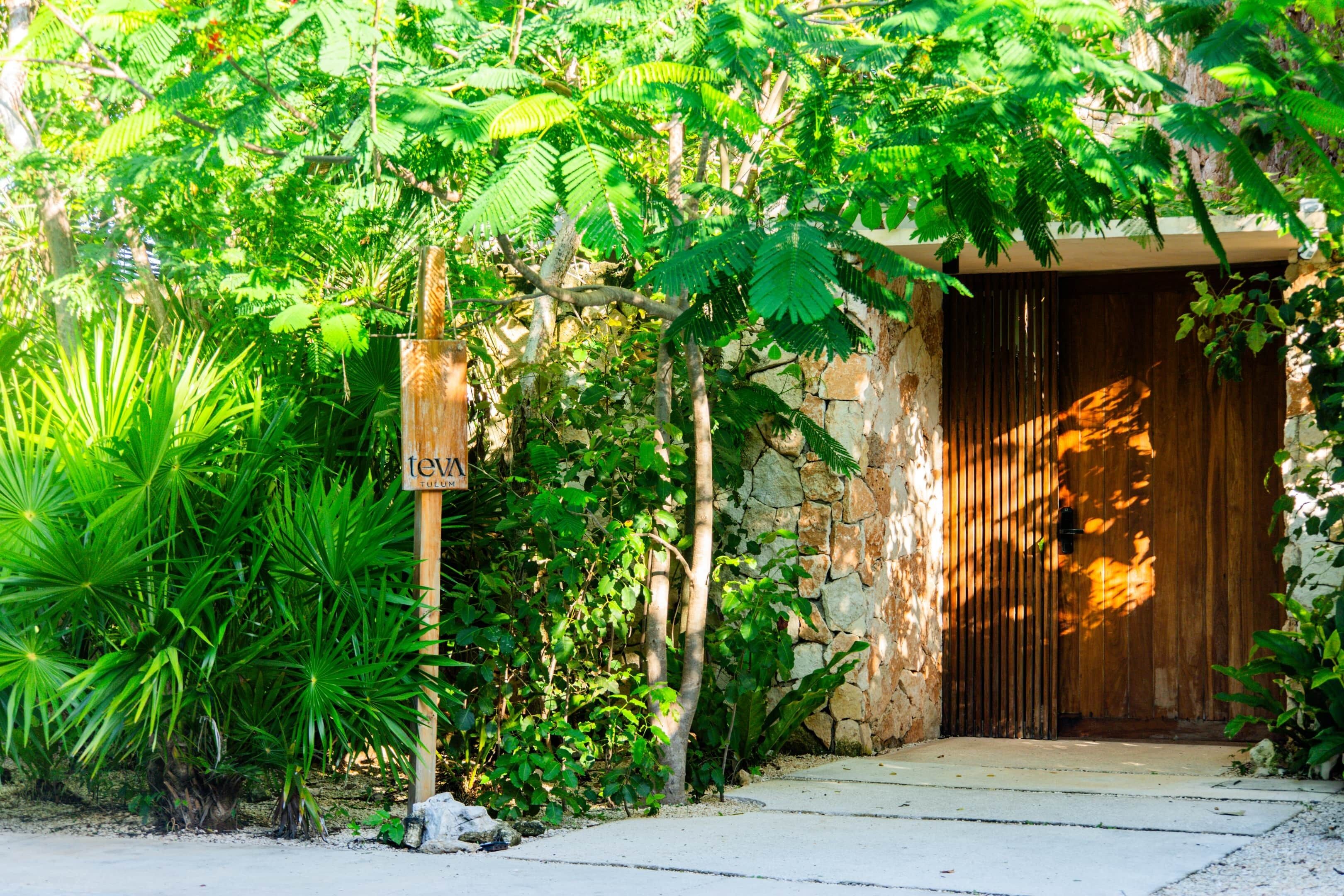 A stone building with a wooden door, surrounded by lush green foliage.