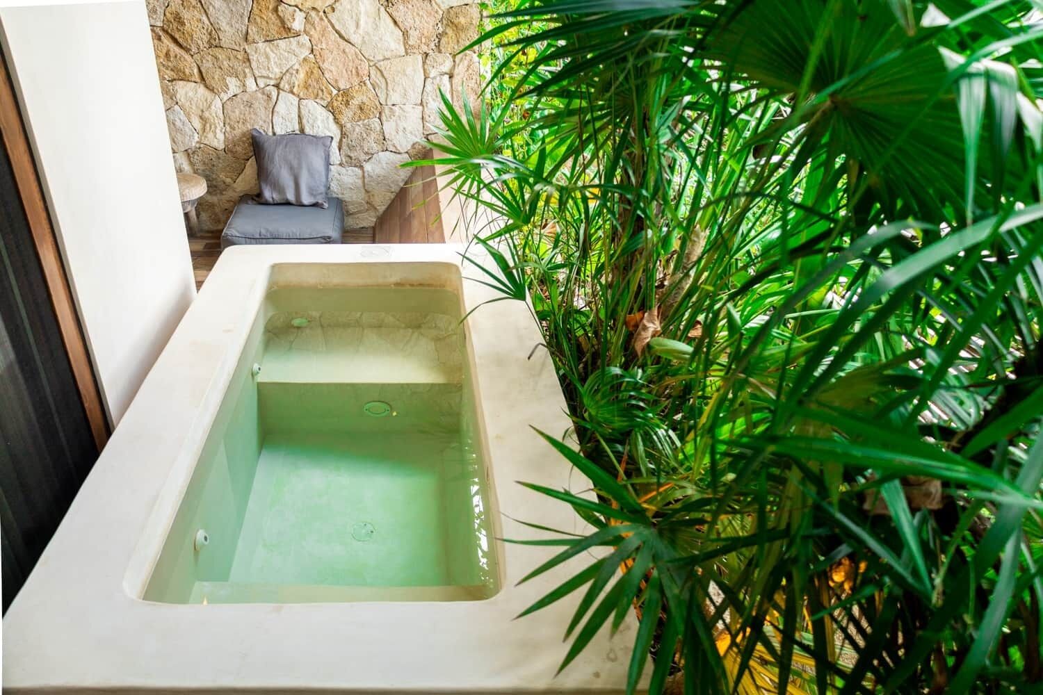 A rectangular pool with clear water, surrounded by lush green plants and a stone wall.