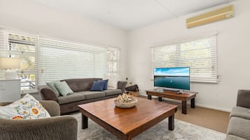 TV, fireplace, books