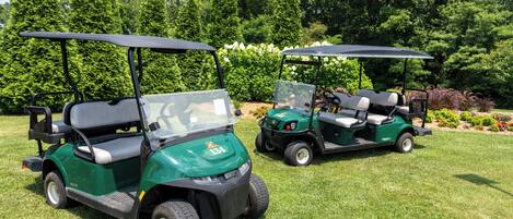 Deux voiturettes de golf vertes, équipées d’un toit, sont garées sur une pelouse.