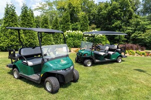Dos carros de golf verdes con toldos estacionados en un área cubierta de césped.