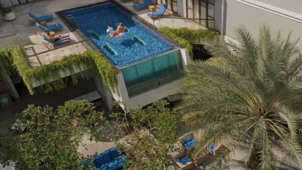 Un área de piscina en la azotea con sillones de descanso y una palmera.