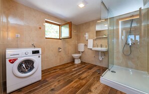 Shower, hair dryer