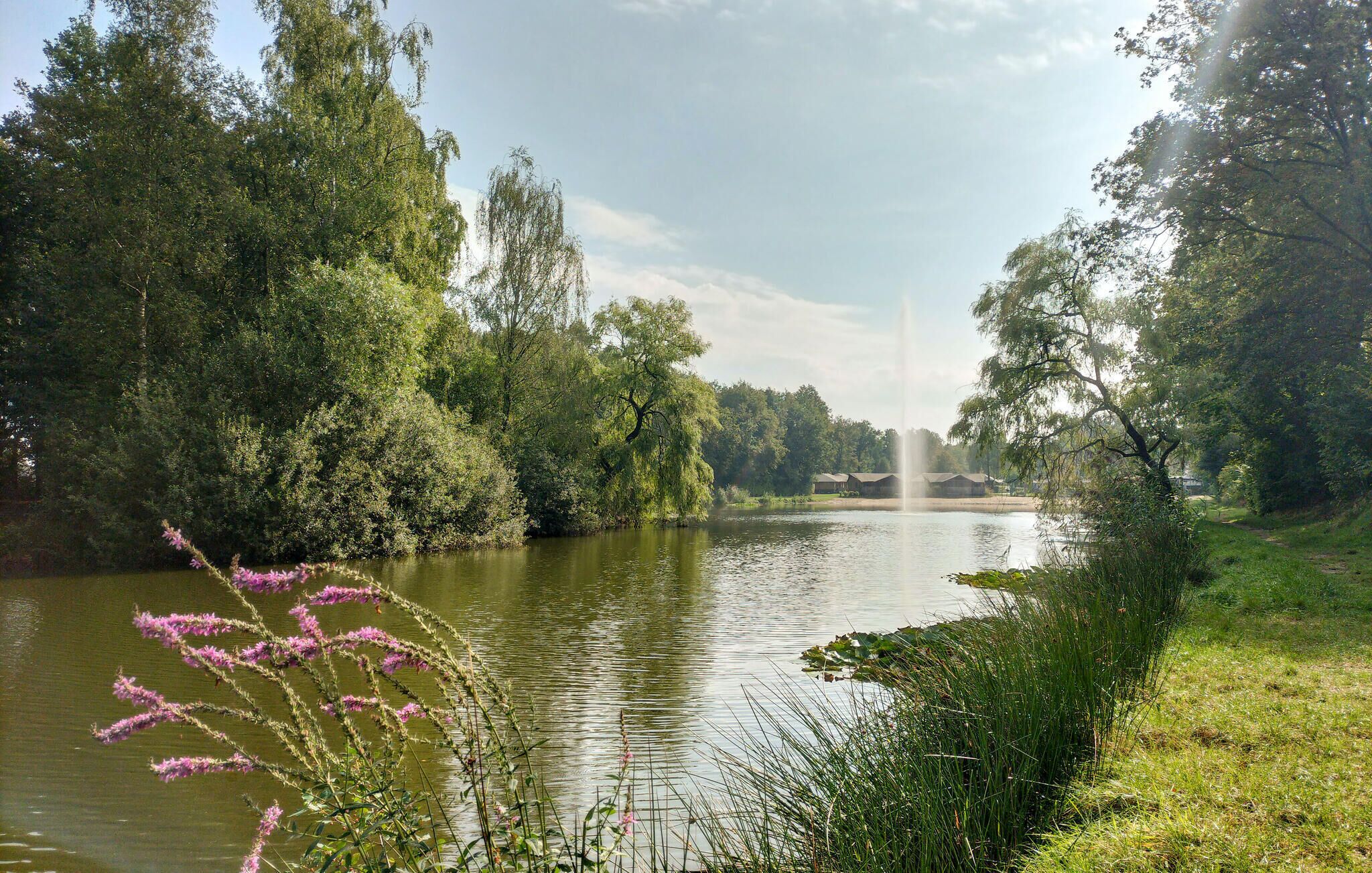 Un parque tranquilo junto al lago, con una fuente, rodeado de abundante vegetación y árboles.
