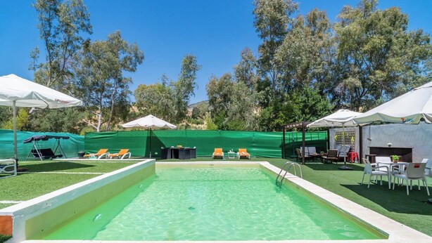 Ein Swimmingpool mit grüner Umrandung, umgeben von Liegestühlen und Sonnenschirmen.