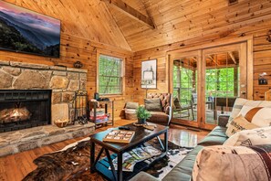 Smart-TV, Kamin, Videospiele, Bücher