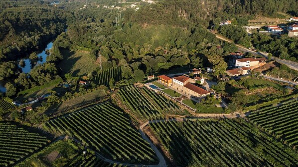 An aerial view of a vineyard with rows of grapevines, a large building with a red roof, and a river in the background. - Quinta de Cypriano - Wine & Nature (Ponte da Barca)
