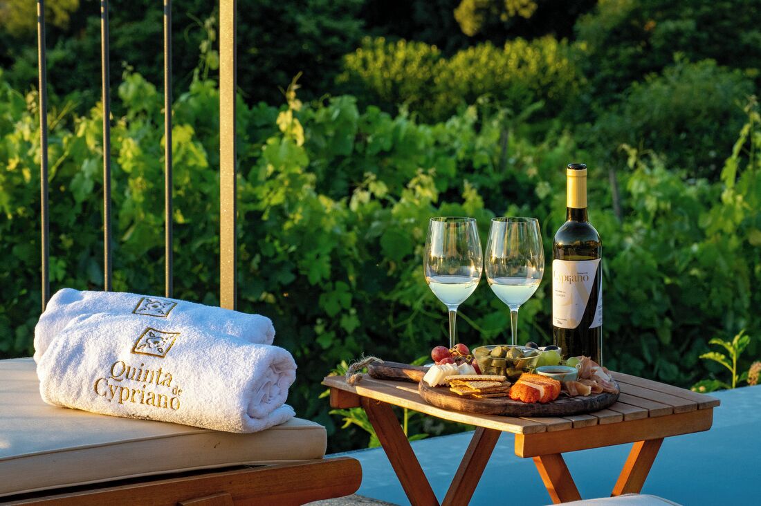 Une table avec une bouteille de vin, deux verres et un plateau de nourriture, le tout disposé sur un fond de verdure luxuriante.
