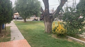 A paved pathway, a grassy area with trees, and a yellow flowering bush. - Consulado casa de Lujo (Ciudad Juárez)