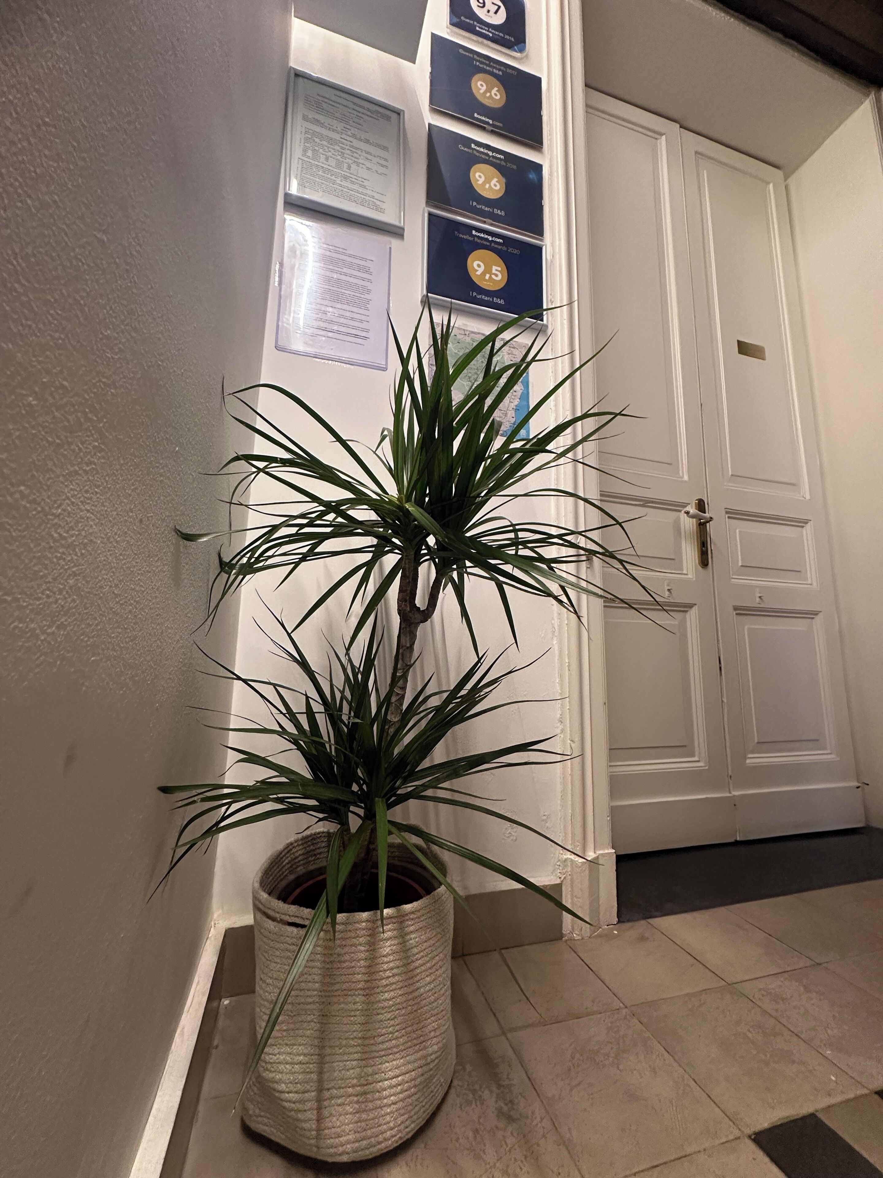 Foto - B&B I Puritani