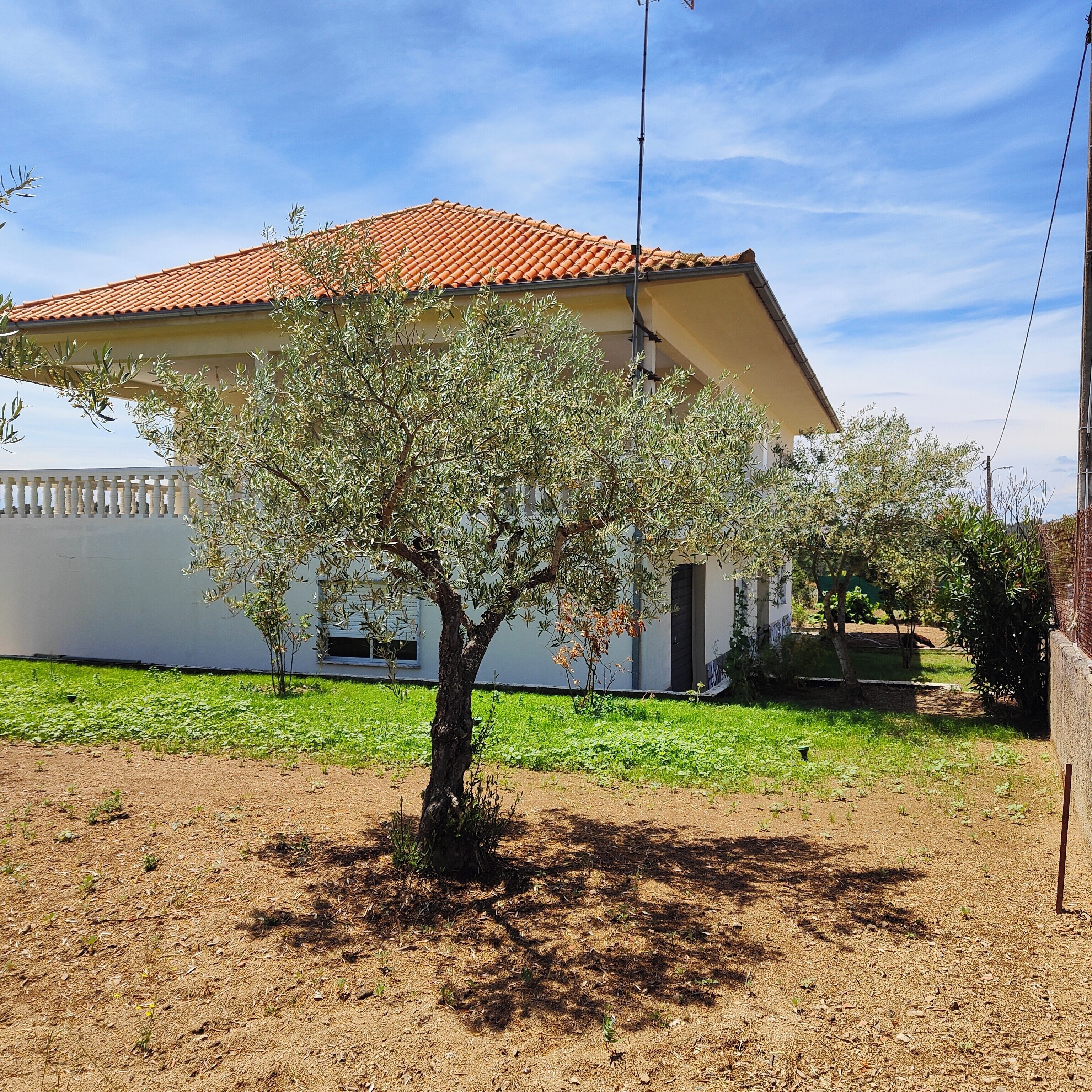 Àrea exterior de l'allotjament