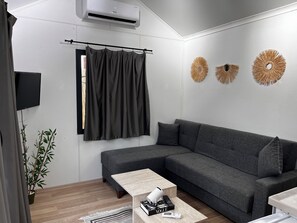 32-inch Smart TV with satellite channels