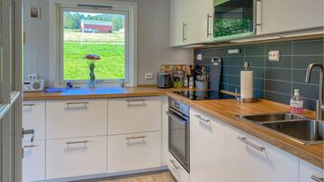 Fridge, oven, stovetop, dishwasher