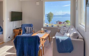 Smart-TV, Kamin
