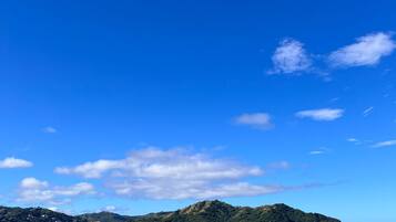 On the beach, 20 beach bars