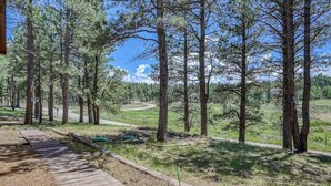 A wooden pathway leading through a forested area with tall pine trees and a clear sky. - Fireplace | Pool Table | WiFi | Hot Tub | Deer Haven (Angel Fire)