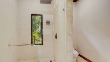 Cabina de ducha con paredes de vidrio, un inodoro y un cabezal de ducha.