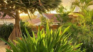 Un jardin où l’on trouve une grande variété de plantes, dont un arbre imposant, caractérisé par un tronc épais et un feuillage dense.