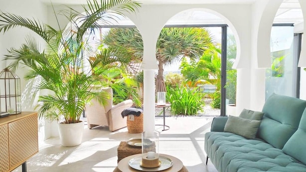 Un salon moderne avec un canapé, une table basse et des plantes en pot.