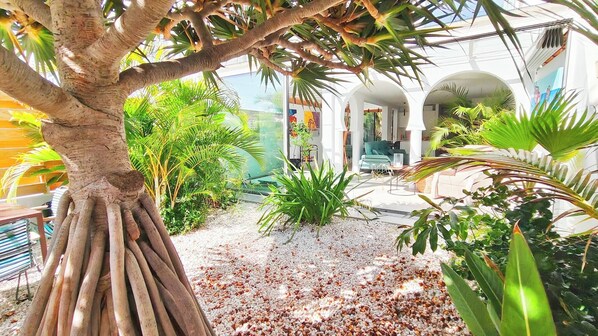 Terraza o patio
