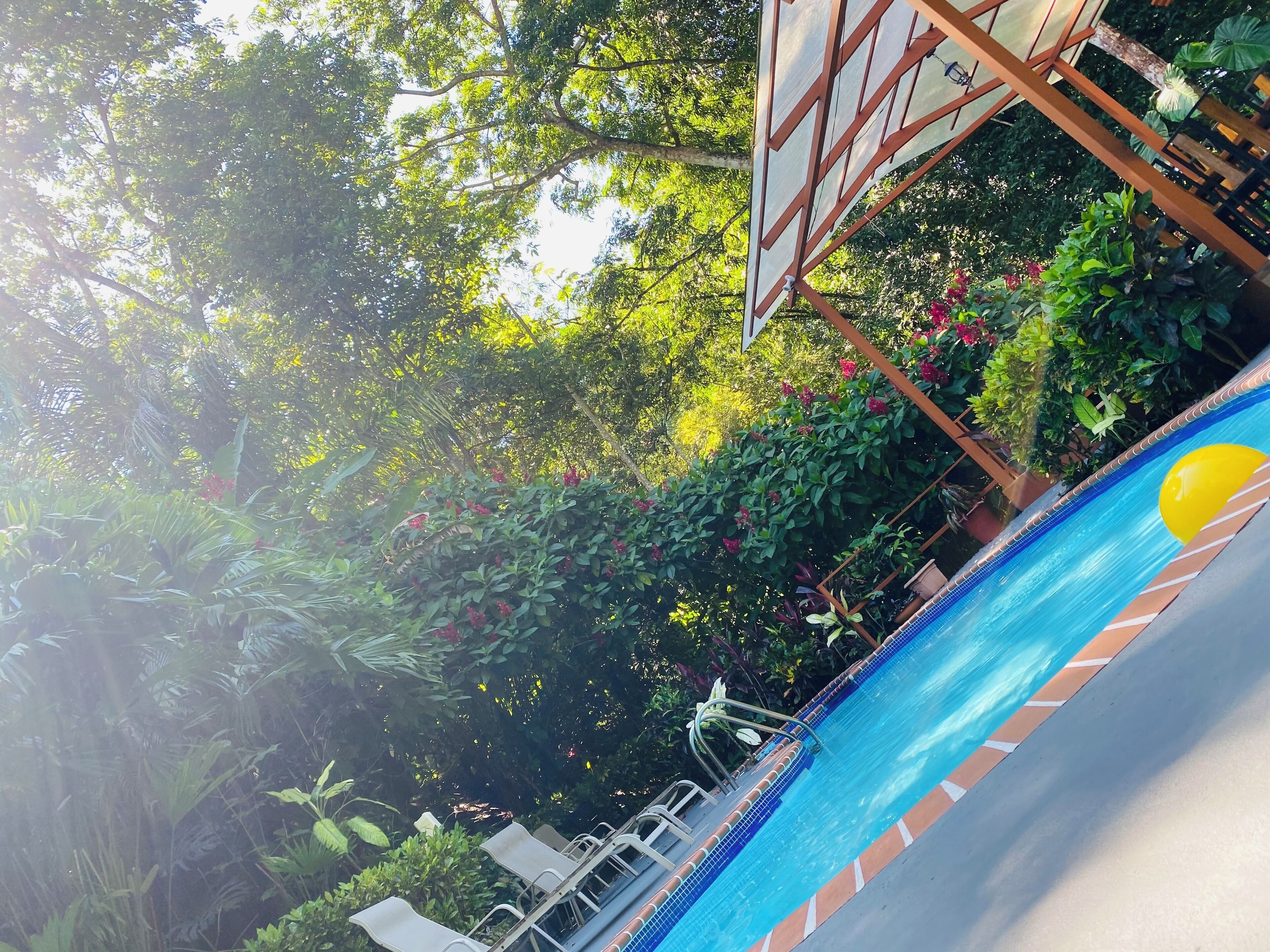 A swimming pool with a sun design on the edge, surrounded by lush greenery and a wooden deck.