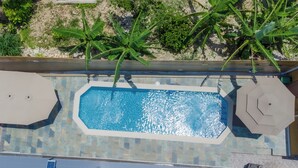 Una piscina rettangolare con bordo piastrellato, circondata da vegetazione e due aree relax con ombrelloni.