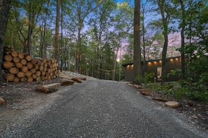 A gravel path leading to a cabin surrounded by trees.