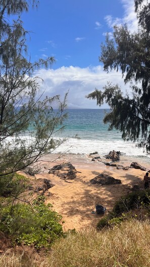 A beach with clear blue water, sandy shore, and surrounding trees.