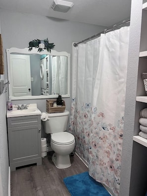 Une salle de bain équipée de toilettes, d’un lavabo, d’un miroir et d’un rideau de douche.