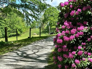 Overnatningsstedets område