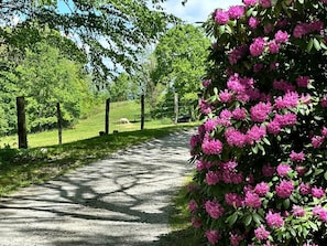 Overnatningsstedets område