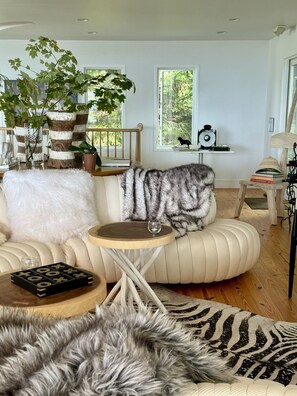 Cheminée, lecteur de DVD, livres, vidéothÚque