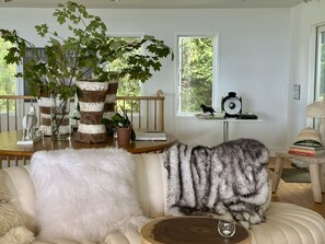 Fireplace, DVD player, books, video library