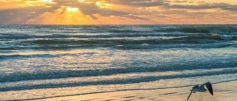 Praia