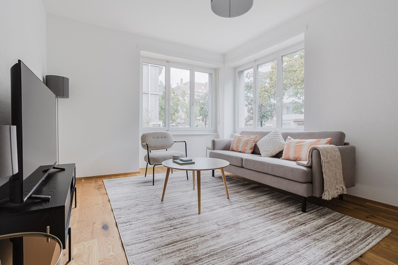 Televisión y estéreo 