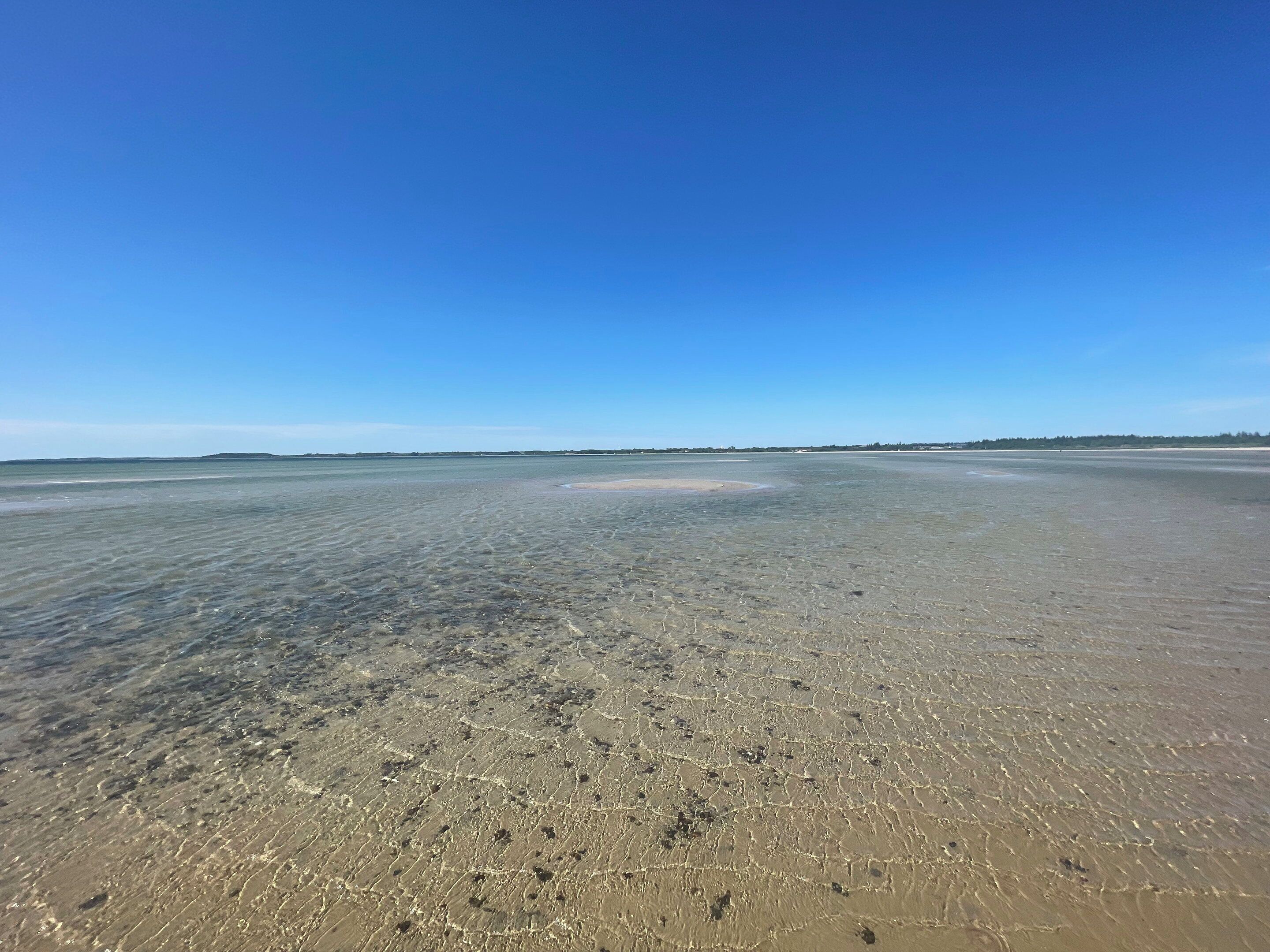 Playa